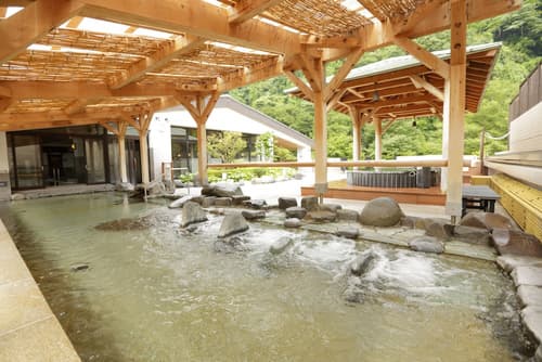 Hakone Yumoto Onsen Tenseien