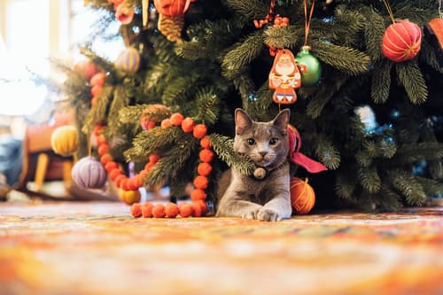 The Red Lion Inn, Lobby