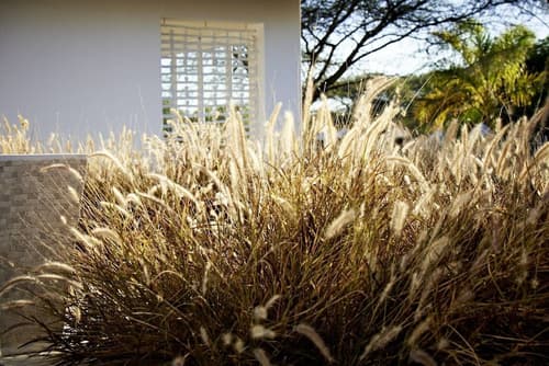 Emanya at Etosha Game Lodge, View from room