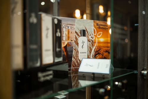 Kyriad Prestige Vannes Centre - Palais Des Arts, Lobby