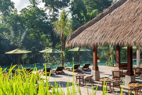 Adiwana Suweta, Primary image