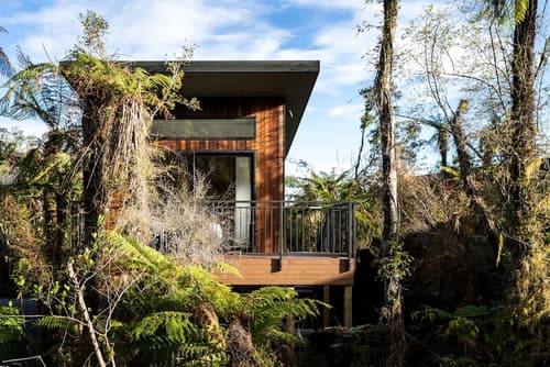 Rainforest Deluxe