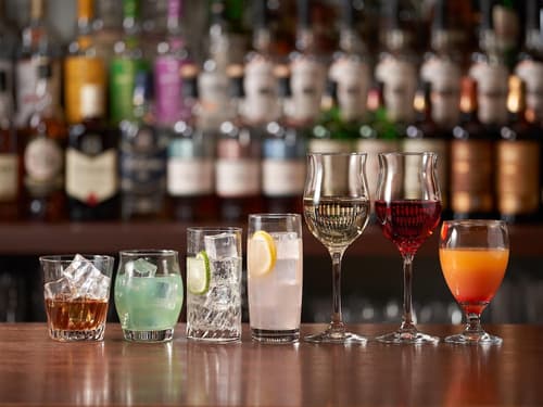 hotel around TAKAYAMA, an Ascend Collection Hotel, Dining