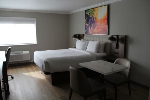 La Quinta Inn & Suites by Wyndham Yakima Downtown, Room