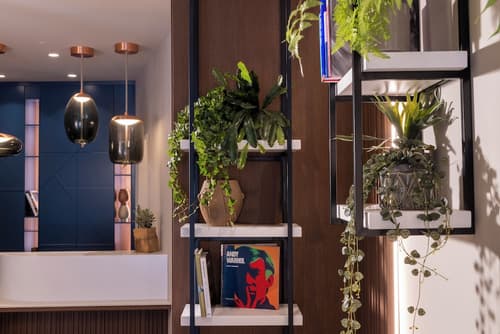 Ikonik Jean Medecin, Reception