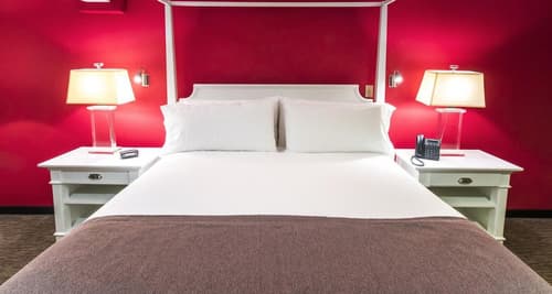 Urban Green Hotel & Suites, Room