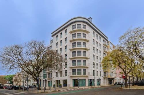 Olissippo Saldanha, Primary image