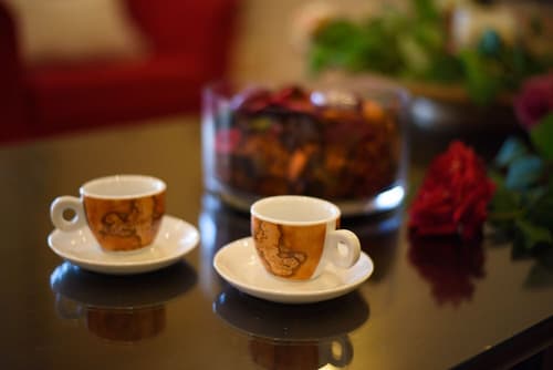 Pontikonisi Hotel, Reception