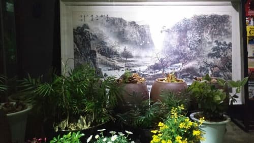 OPPA Hostel Sinchon-Hongdae, Interior entrance