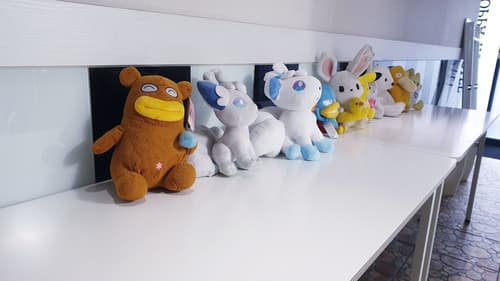 OPPA Hostel Sinchon-Hongdae, Reception