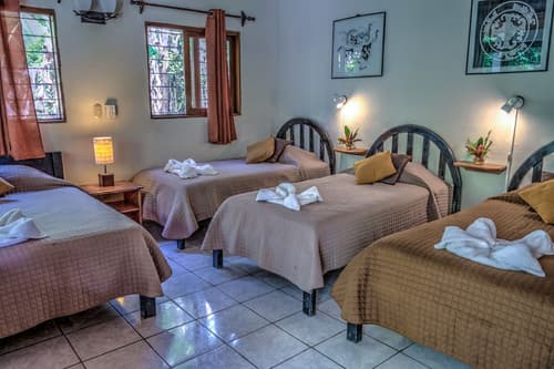 Hotel Jaguar Inn Tikal, Room