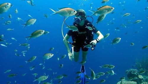 Papagayo Beach Hotel