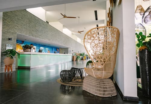 Papagayo Beach Hotel, Reception