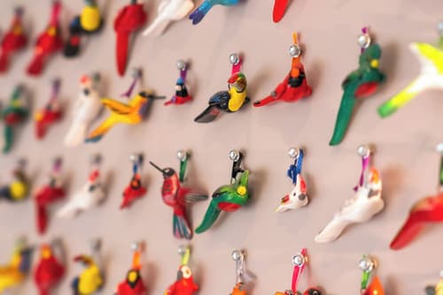 Dantica Cloud Forest Lodge