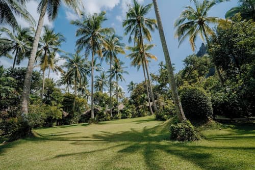 Ban Sainai Resort, Room