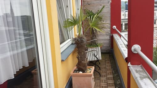 Continental Pfaelzer Hof