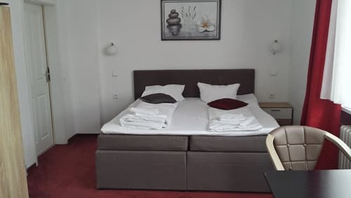 Continental Pfaelzer Hof, 