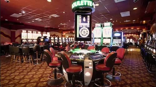 Terra Nova, BW Premier Collection