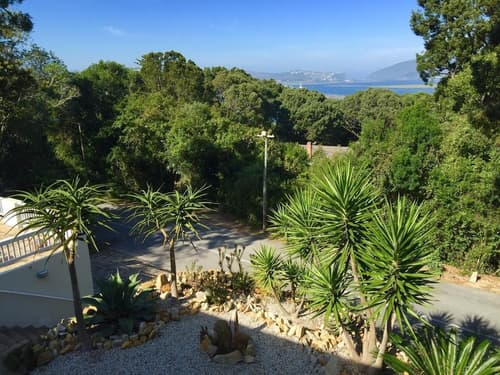 South Villa Guesthouse & Garden, Property grounds