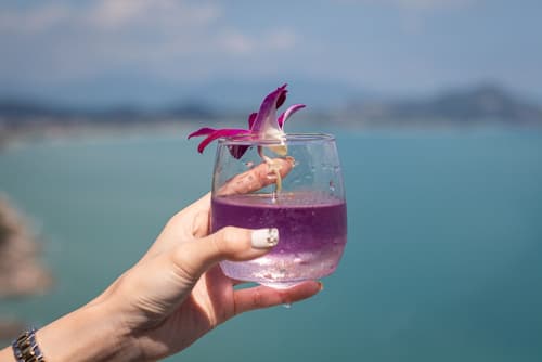 Sandalwood Luxury Villas, Reception