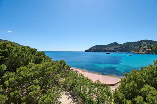 Alua Gran Camp de Mar Hotel, Room