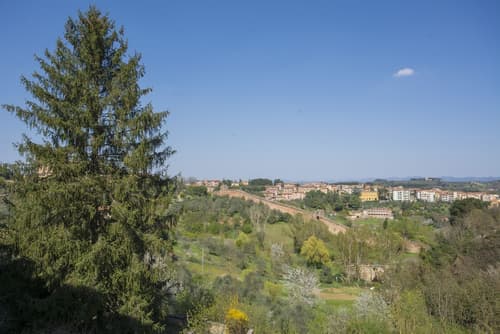 B&B Pantaneto Palazzo Bulgarini