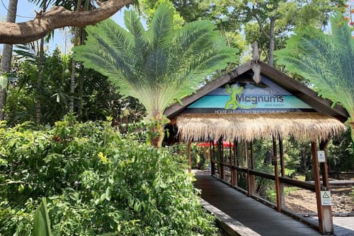 Magnums Airlie Beach, Reception