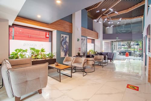 Hotel Flamencos Centro Histórico, Reception