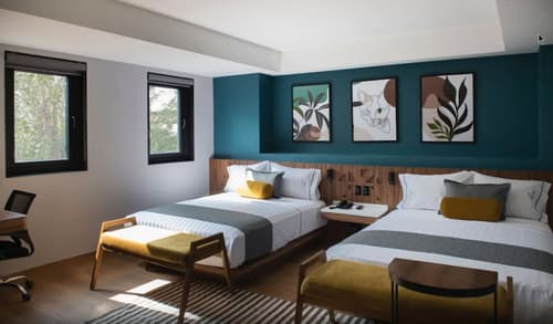 Hotel Flamencos Centro Histórico, Primary image