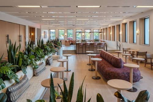 Hotel Marcel New Haven, Tapestry Collection By Hilton, Lobby