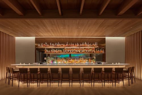 The Reykjavik EDITION, Lobby