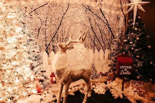 Hotel Indigo - NYC Downtown - Wall Street by IHG