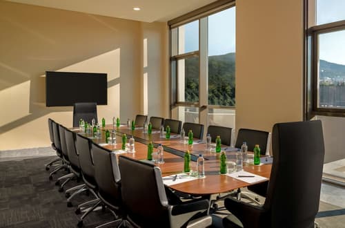 DoubleTree by Hilton Manisa, Meeting facility