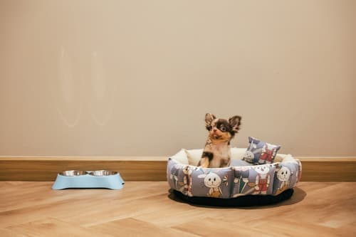 Away Bangkok Riverside Kene