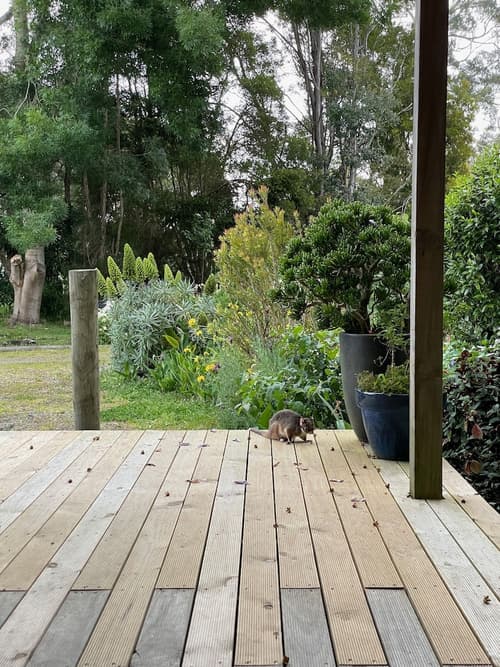 Tindoona Cottages