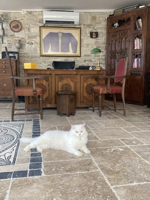 Villa Ephesus Hotel, Reception