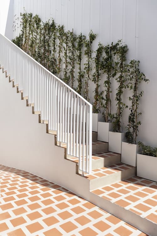 Ethos Vegan Suites, Reception