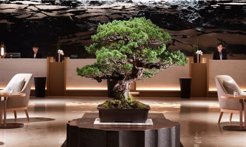 Hilton Hiroshima, Reception