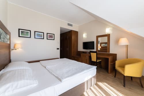 Hotel Arena Maribor, Room