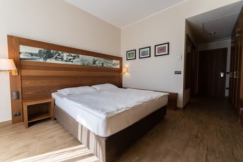 Hotel Arena Maribor, Room