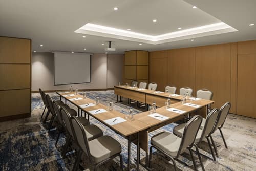 Hilton Garden Inn Balikesir, Meeting facility