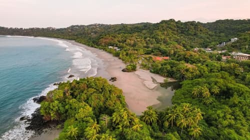 Wide Mouth Frog, Beach