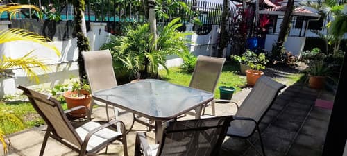 Wide Mouth Frog, View from room