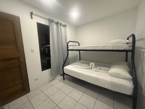 Wide Mouth Frog, Room