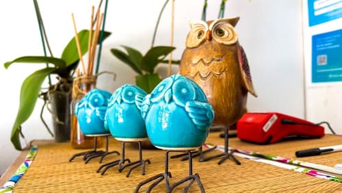 Pousada Costa Verde, Reception