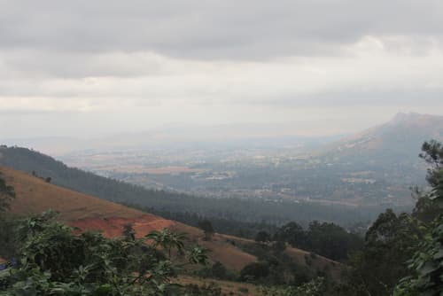 Emafini Country Lodge, Garden