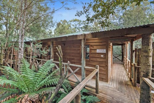 Cradle Forest Inn, Room