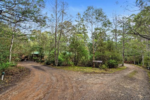 Cradle Forest Inn, Garden