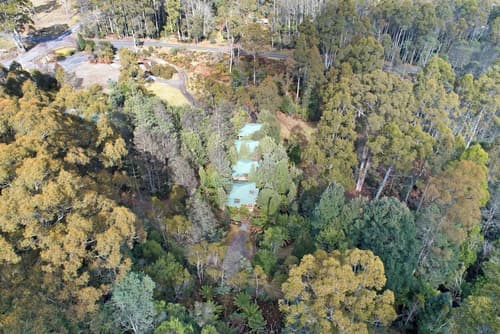 Cradle Forest Inn, Property grounds