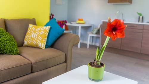 Bubali Bliss Studios & Villas, Room